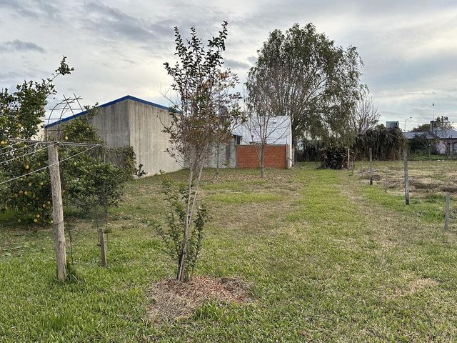 place photo 20