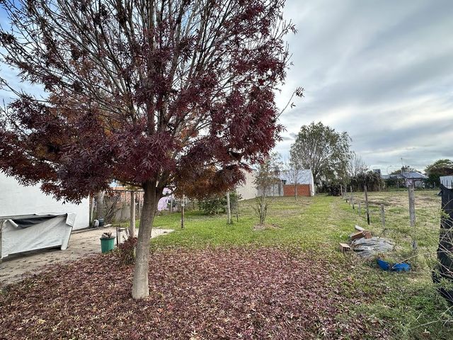 place photo 17
