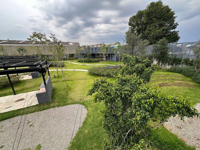 place photo 30