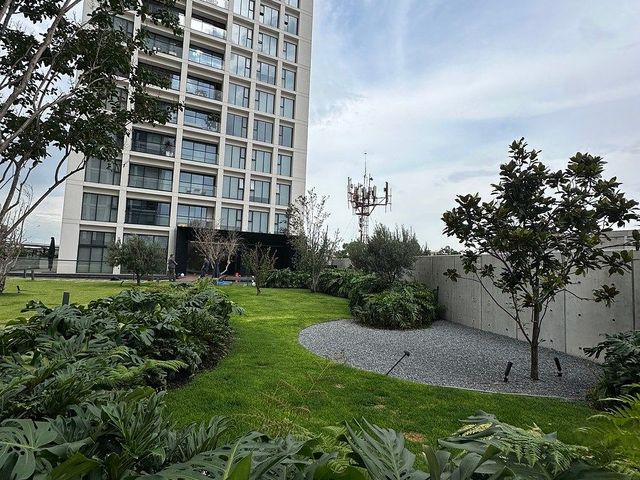 place photo 26