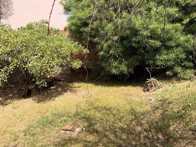 place photo 40