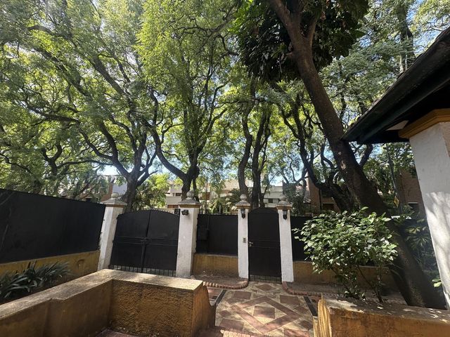 place photo 40