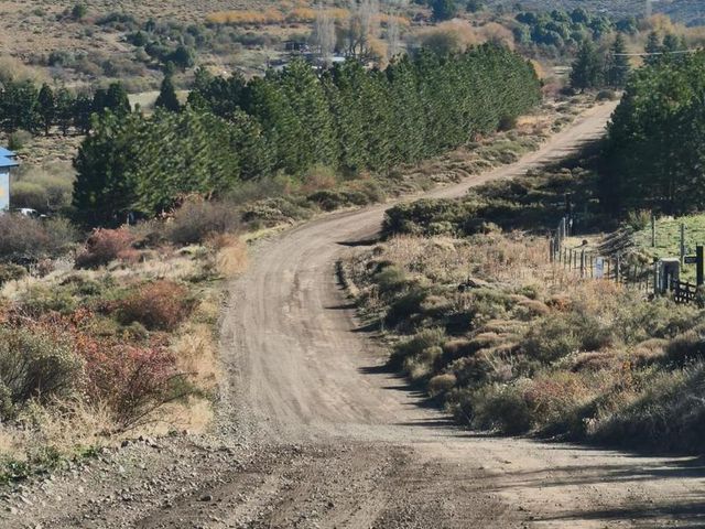 place photo 39