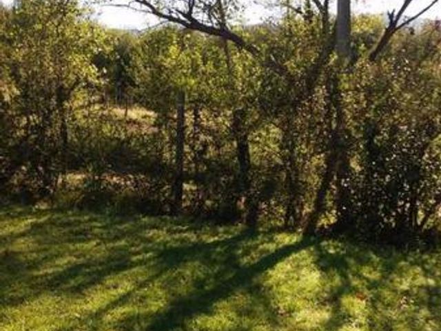 place photo 36