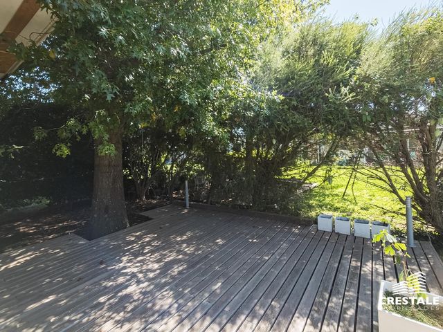 place photo 47