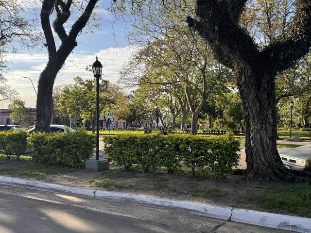 place photo 48