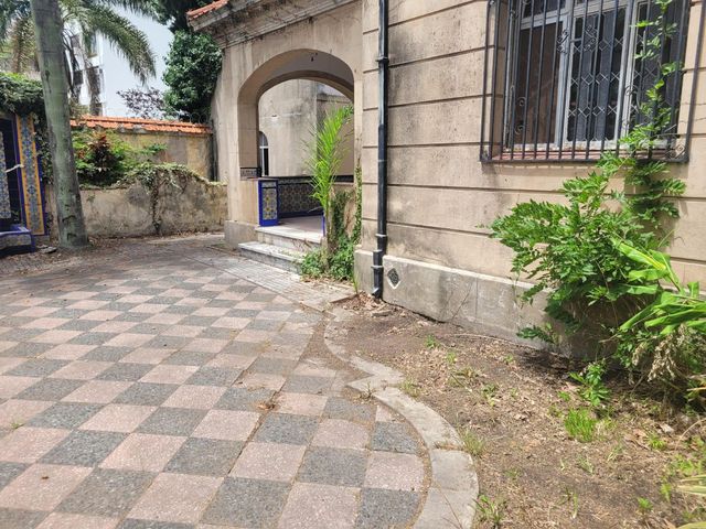 place photo 39