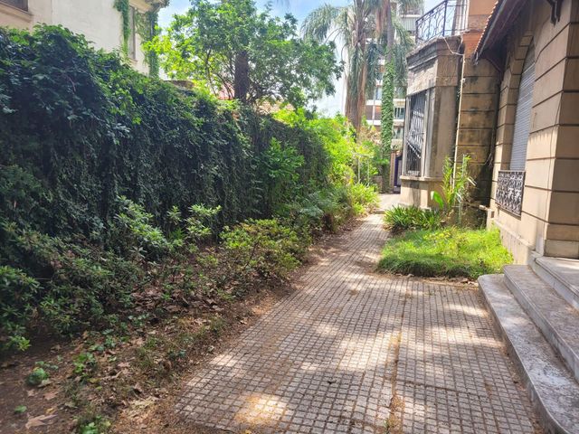 place photo 42