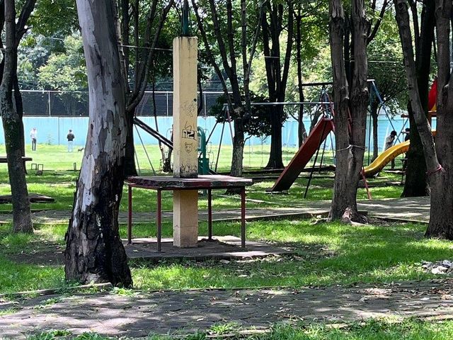place photo 11