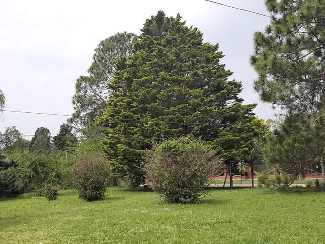 place photo 28