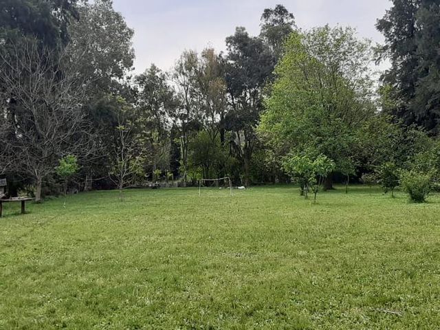 place photo 25