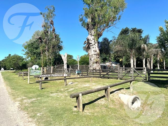 place photo 47