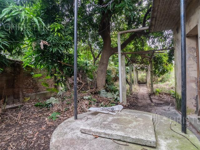 place photo 16
