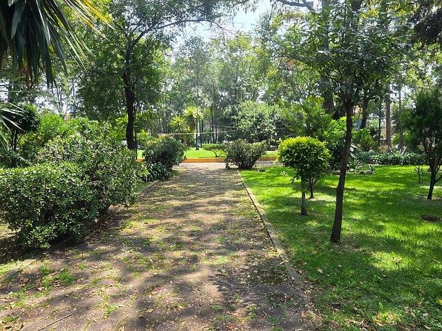 place photo 13
