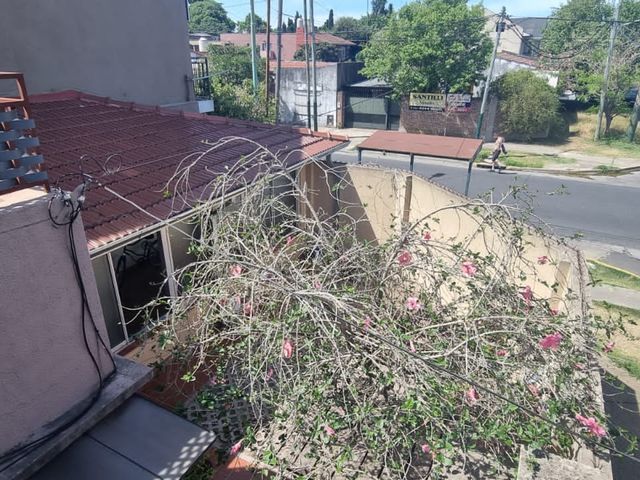 place photo 19