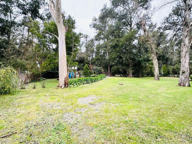 place photo 47