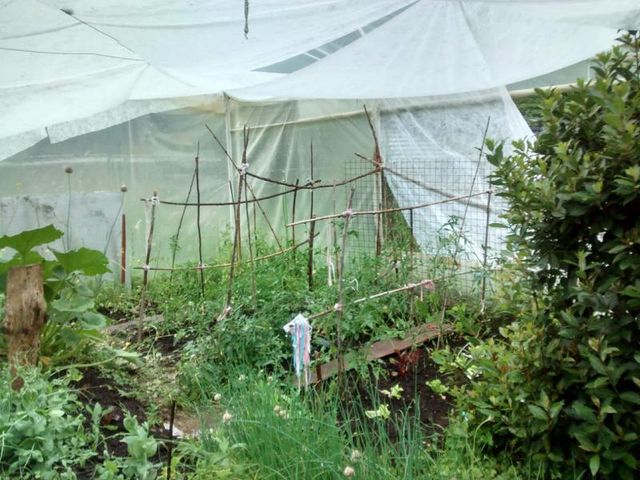 place photo 29