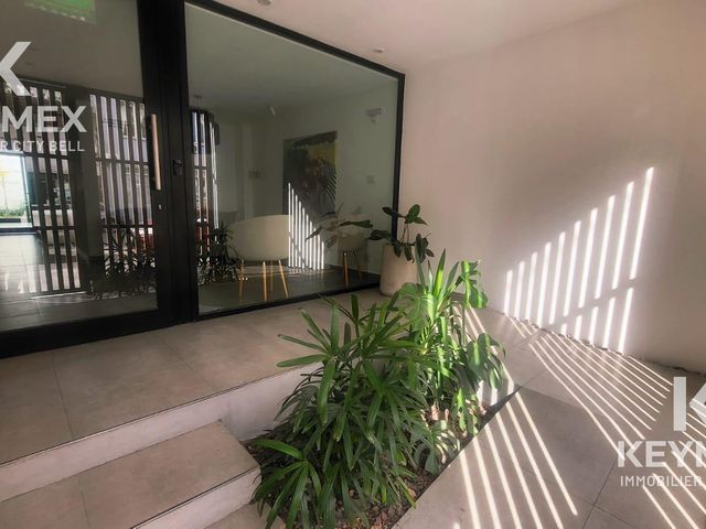 place photo 24