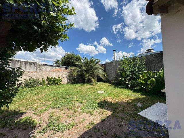 place photo 38