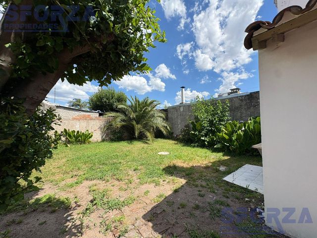 place photo 37