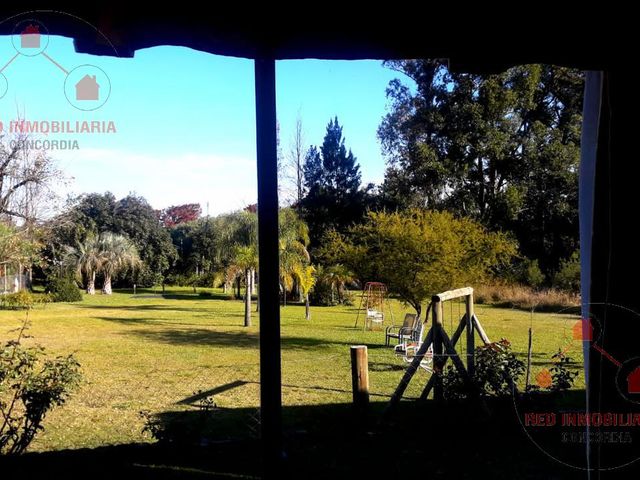 place photo 19