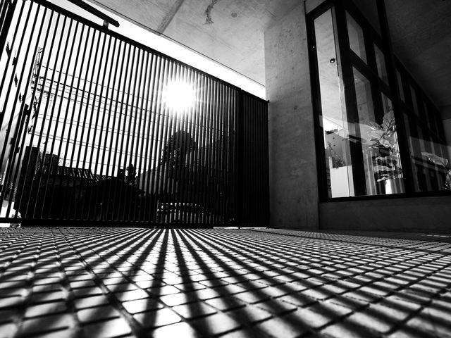 place photo 45