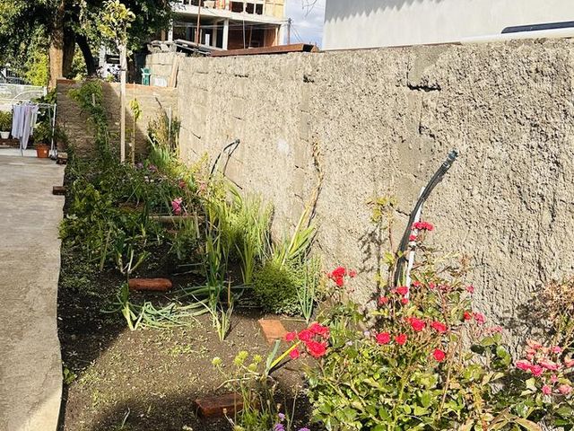 place photo 80