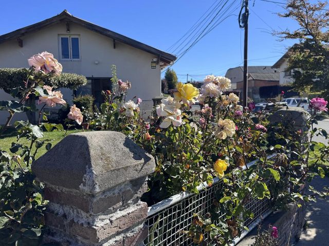 place photo 39