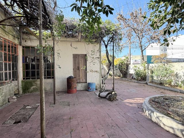 place photo 18