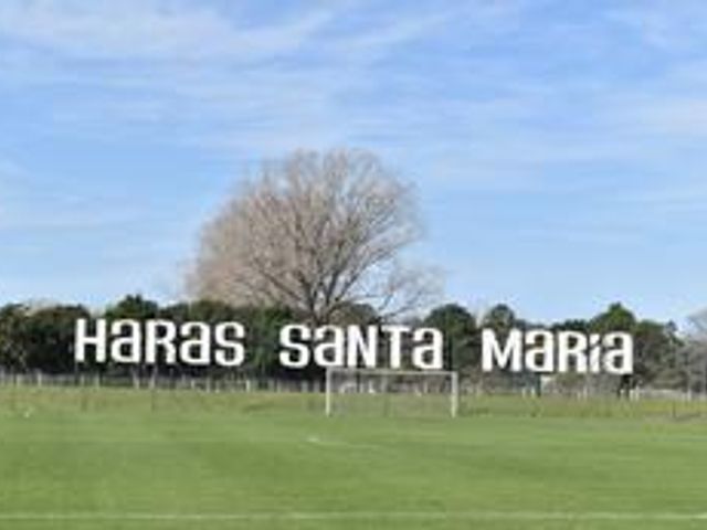 place photo 50