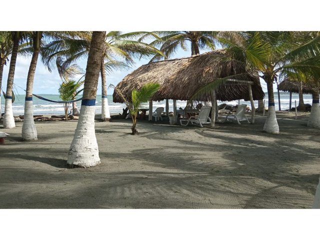 place photo 6