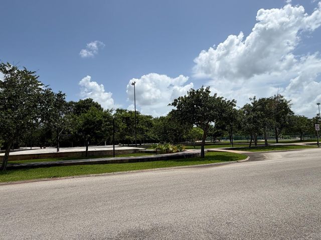 place photo 36