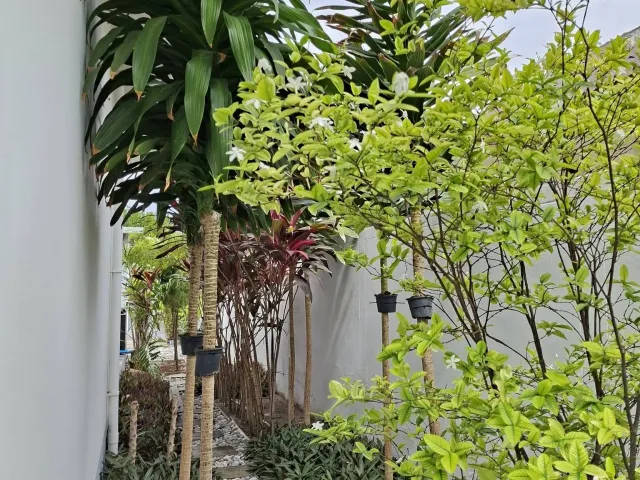 place photo 23