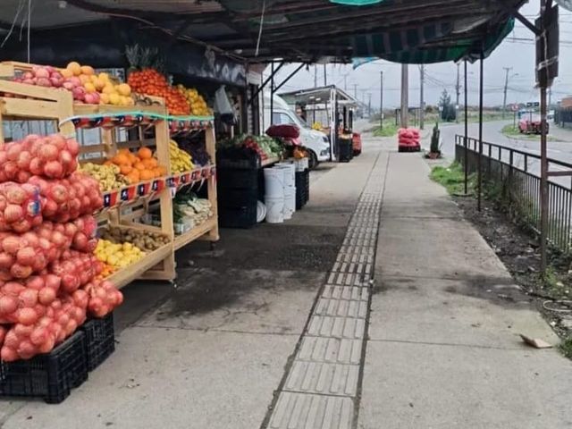 place photo 19