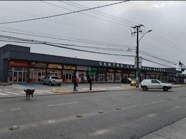 place photo 16