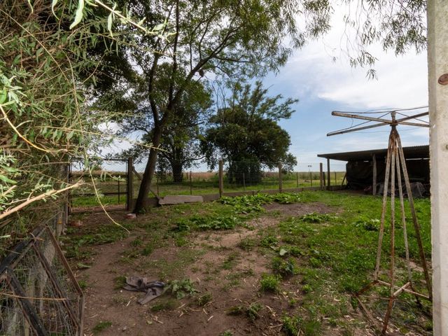 place photo 39