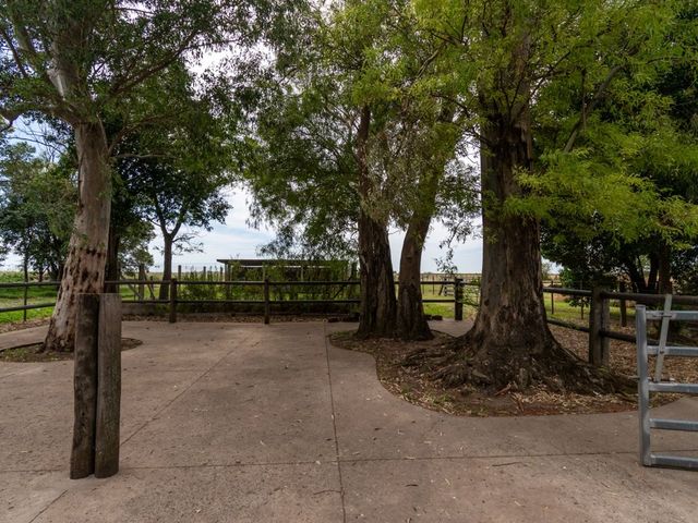 place photo 33