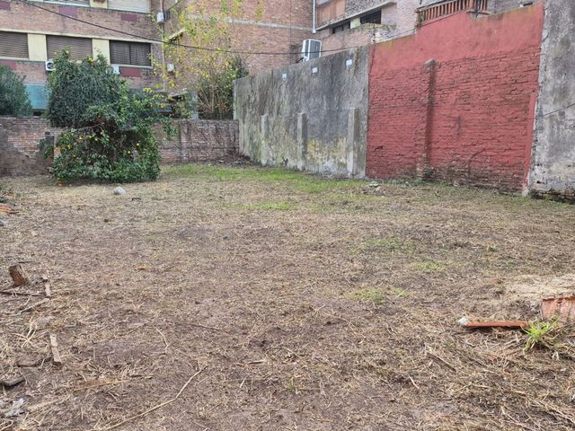 place photo 27