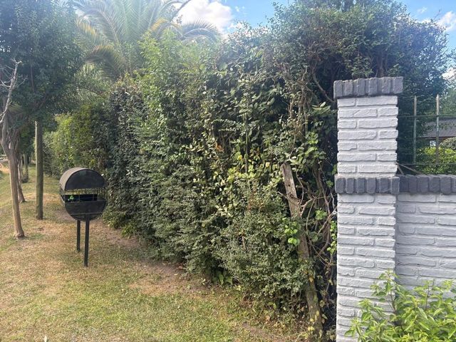 place photo 32