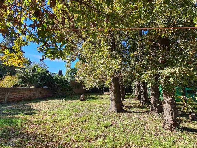 place photo 41