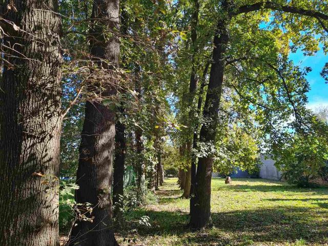 place photo 38