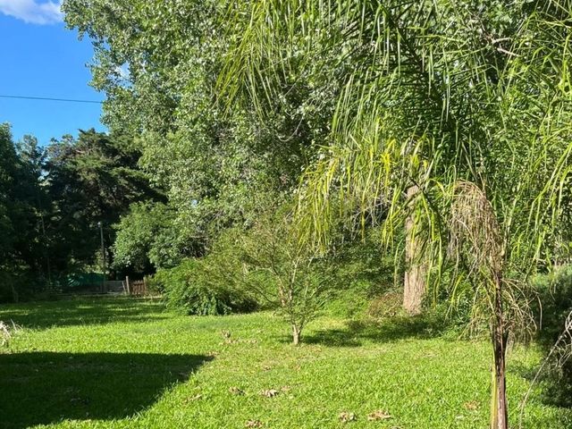 place photo 16