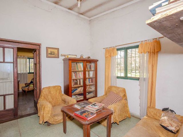 place photo 19