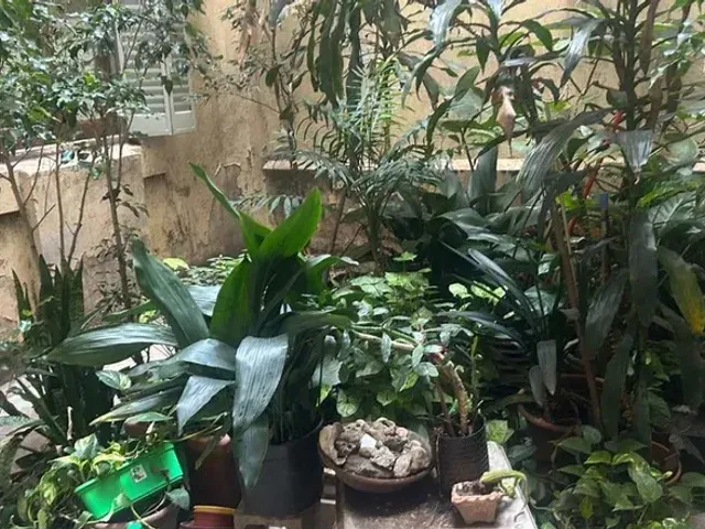 place photo 29