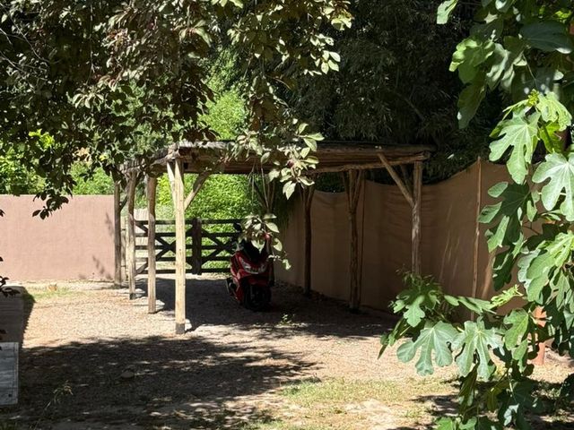 place photo 34