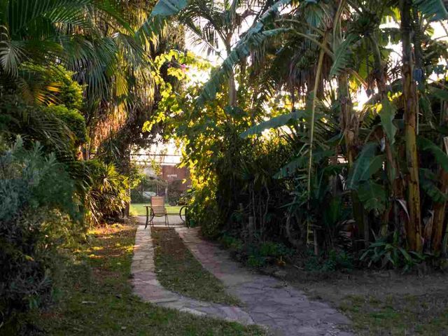 place photo 36