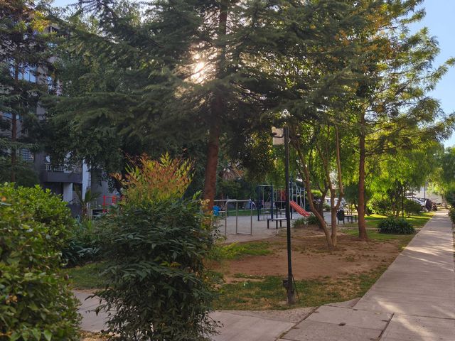 place photo 23