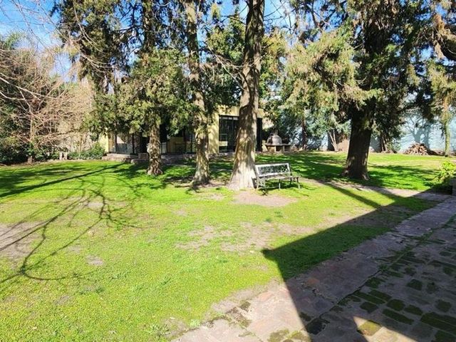 place photo 49