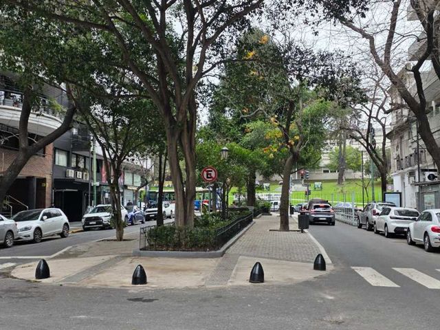 place photo 31