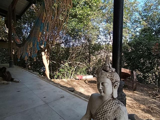 place photo 38